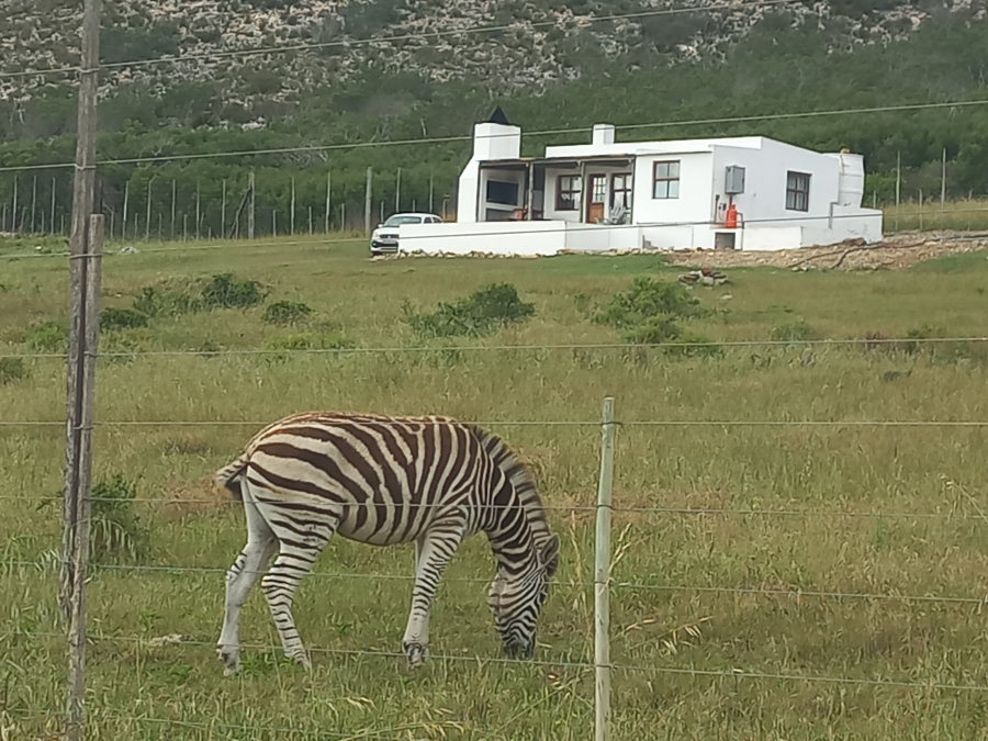 5 Bedroom Property for Sale in Bredasdorp Rural Western Cape